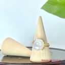 Nhẫn Tỳ hưu đá mặt trăng bạc 925 free size
