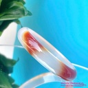 Vòng mã não màu cá Koi thiên nhiên xinh xắn